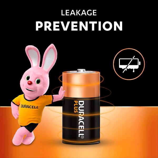 Duracell Plus 100% C 2pk (10 x 2pk)