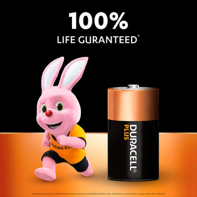 Duracell Plus D 2 Pack (10 x 2pk)