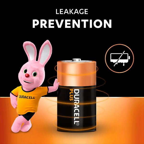 Duracell Plus D 2 Pack (10 x 2pk)