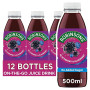 Robinsons Ready To Drink Blackberry & Blueberry Juice Drink 500ml (12 x 500ml)