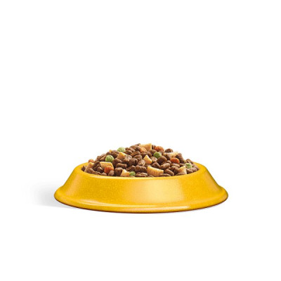WHISKAS 1+ Dry CHICKEN Cat Food 300g (6 x 300g)