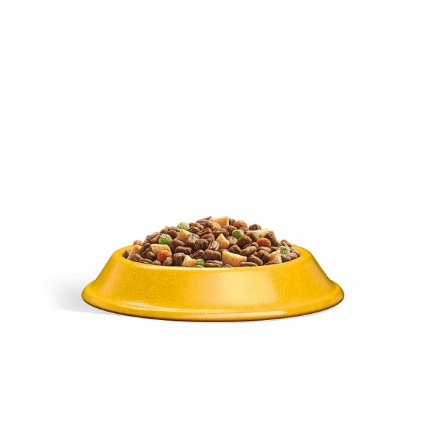 WHISKAS 1+ Dry CHICKEN Cat Food 300g (6 x 300g)