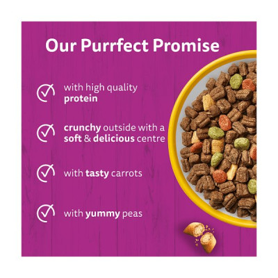 WHISKAS 1+ Dry CHICKEN Cat Food 300g (6 x 300g)