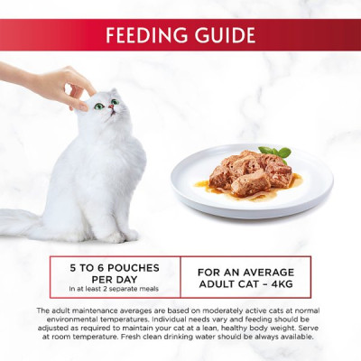 GOURMET Mon Petit Meaty Variety Duck, Chicken, Turkey Wet Cat Food 6x50g PMP (8 x 6x50g)
