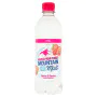 Mountain Mist Berries & Cherries Flavoured Still Spring Water 500ml (12 x 500ml)