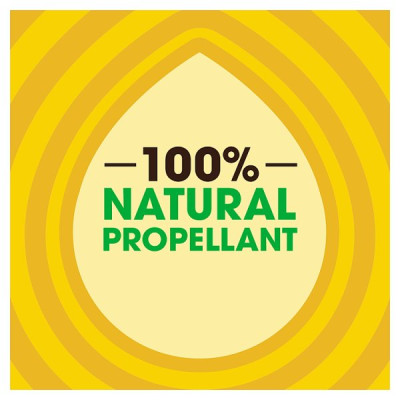 Pledge Wood Polish Aerosol, 250ml (6 x 250ml)