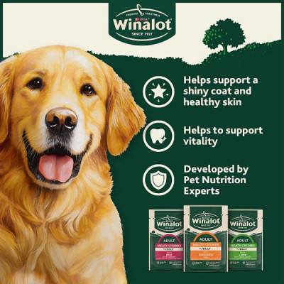 WINALOT Meaty Chunks Mixed in Jelly Wet Dog Food 12x100g PMP (4 x 12x100g)