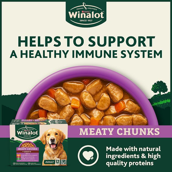 WINALOT Meaty Chunks Mixed in Gravy Wet Dog Food 12x100g PMP (4 x 12x100g)