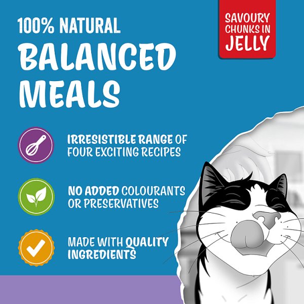 FELIX Original Kitten Mixed Selection in Jelly Wet Cat Food 12x85g (4 x 12x85g)