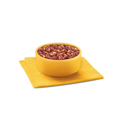 PEDIGREE® Adult Wet Dog Food Mixed Selection in Jelly 12 x 100g Pouch (4 x 12x100g)
