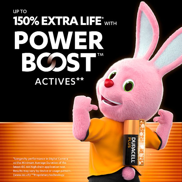 DURACELL Plus AA Batteries (24 Pack) – Power Boost Alkaline Batteries 1.5V (12 x 24pk)