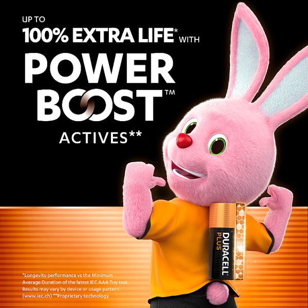 DURACELL Plus AAA Batteries (20 Pack) – Power Boost Alkaline Batteries 1.5V (1 x 20pk)