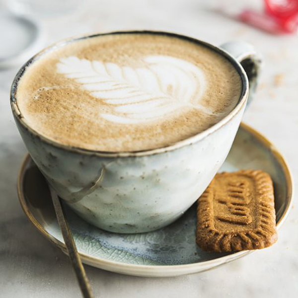 Biscoff 250g Value Pack (16 x 250g)