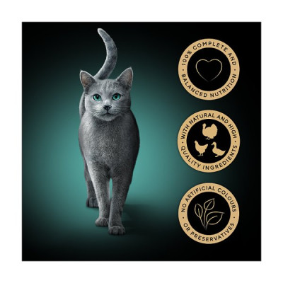 SHEBA® Fresh & Fine Adult Wet Cat Food Chicken &Turkey Gravy 6x50g Pouches (8 x 6x50g)