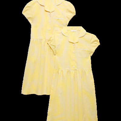2 Pack Cotton Rich Gingham Dresses (2-14 Yrs)