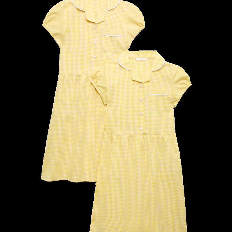 2 Pack Cotton Rich Gingham Dresses (2-14 Yrs)