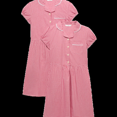 2 Pack Cotton Rich Gingham Dresses (2-14 Yrs)