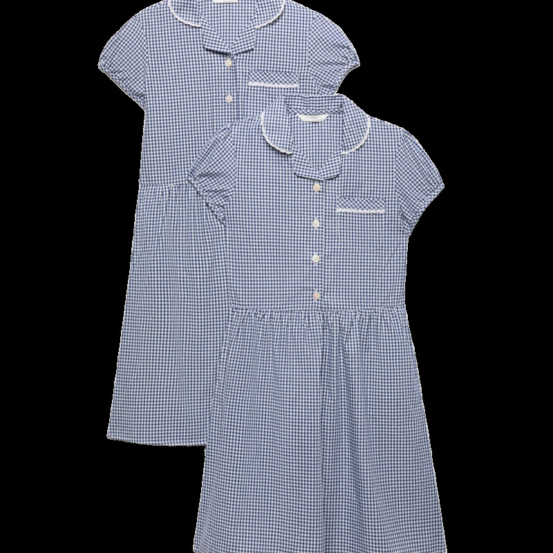 2 Pack Cotton Rich Gingham Dresses (2-14 Yrs)
