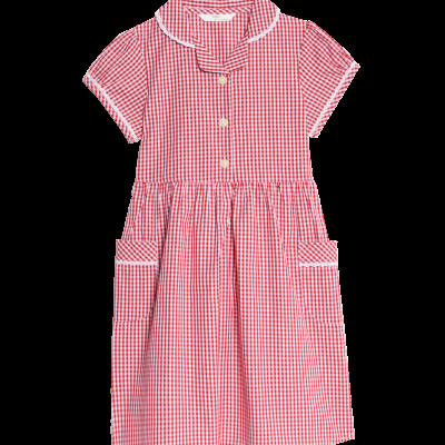 Pure Cotton Gingham School Dress (2-14 Yrs)