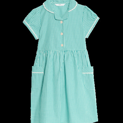 Pure Cotton Gingham School Dress (2-14 Yrs)